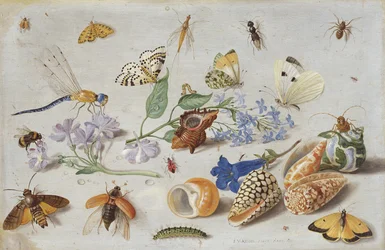 Sommerfugle og andre insekter, 1661 (olie på kobber)